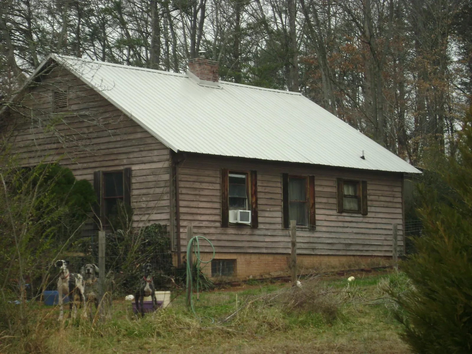 White metal roof on an old wood sided farmhouse, from a Metal Roof Installation job in Curtis